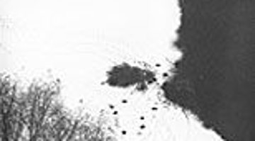 “ 물 바라기 ” 展