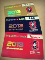 2013 시즌권