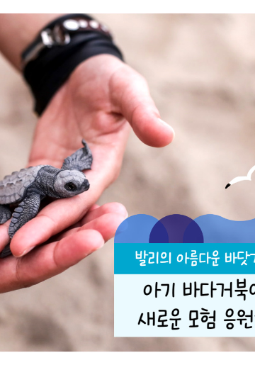 [한국갭이어] 봉사와 여행을 동시에! 인도네시아 발리 아기 바다거북 보호 봉사활동
