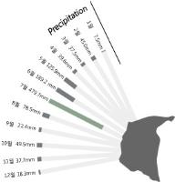 인포그래픽