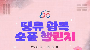 땡큐 광복 숏폼 챌린지