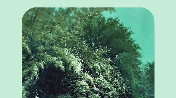 정연주 : 늘 머물던 자리에